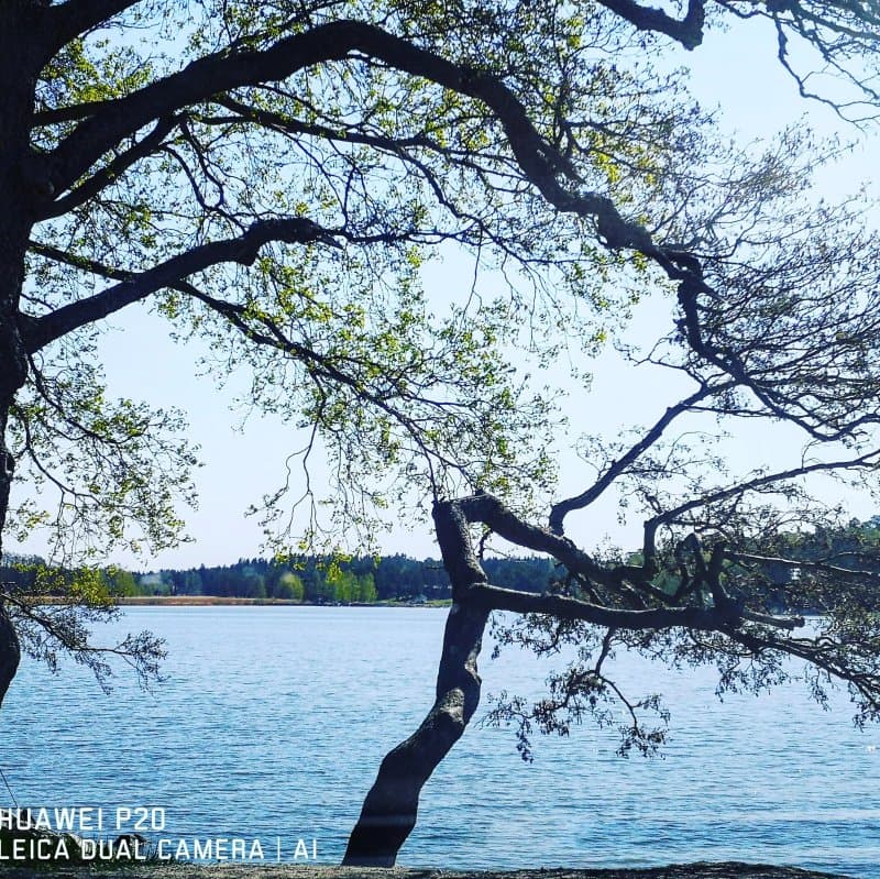 Ruissalo Camping