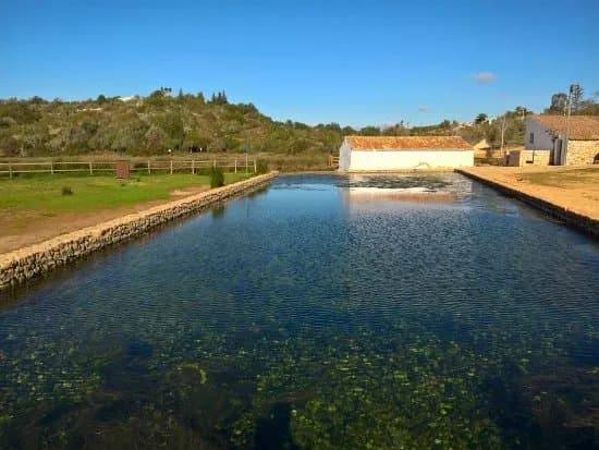 Municipal Park of the Springs