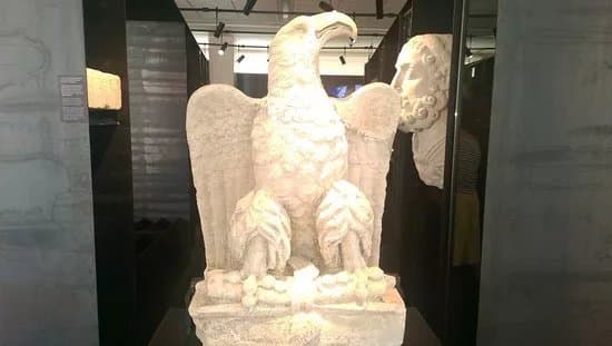 Archaeological Museum Zadar