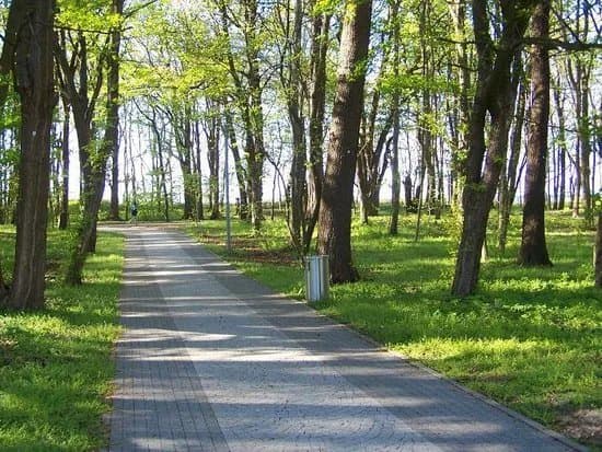 Stefan Zeromski Park
