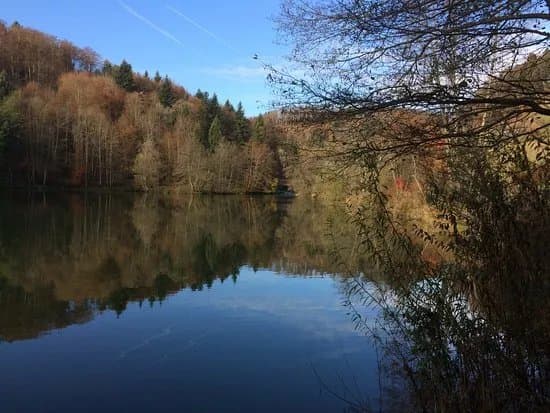 l'Arboretum du Vallon de l'Aubonne