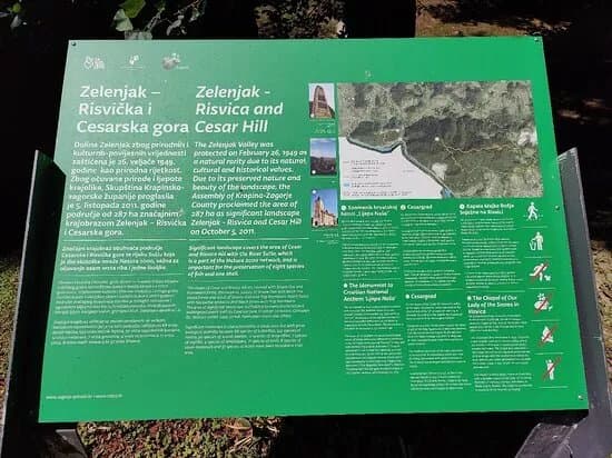 The Path Through The Treetop Zelenjak