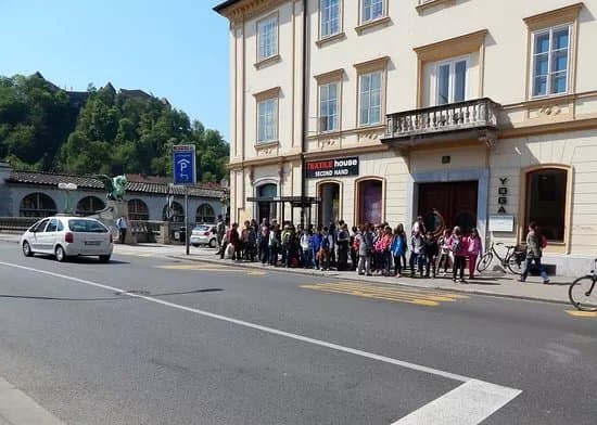 LPP Buses