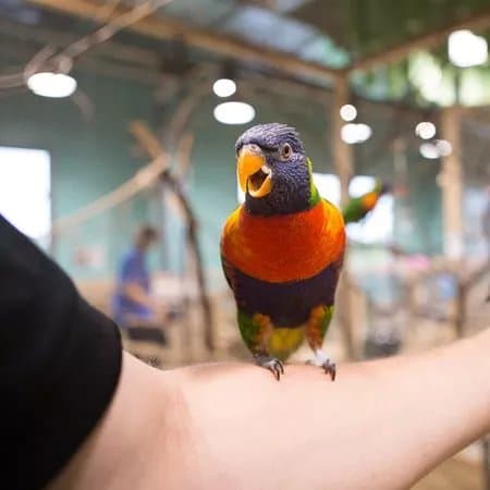 Zoopark Kaunas