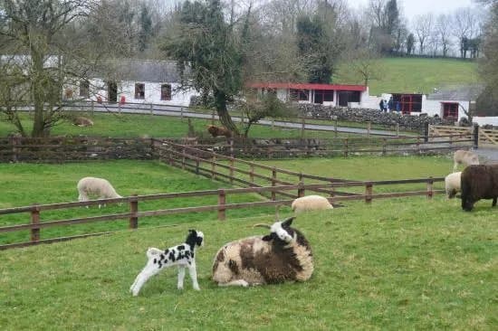 Glendeer Pet Farm