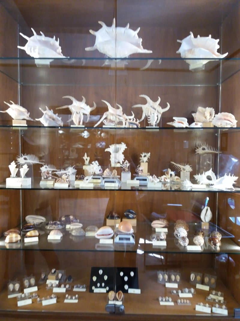 Casa Museo Matteo Sercia