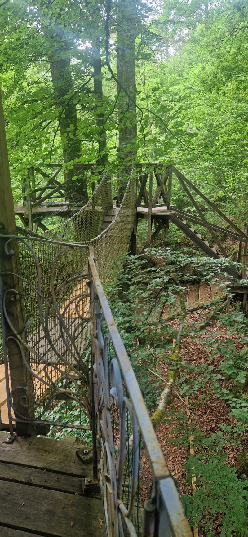 Eco Source Arboricole