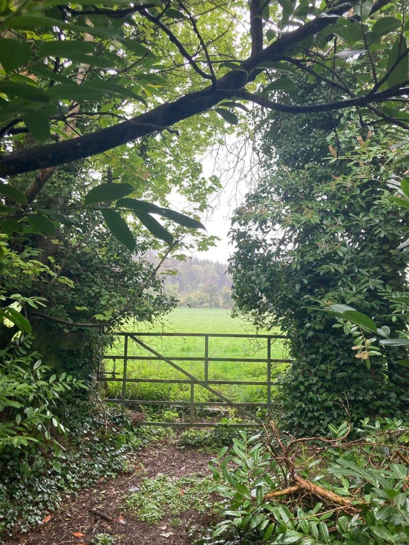 Townley Hall Wood