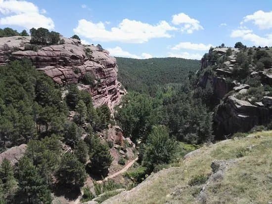 Pinares del Rodeno