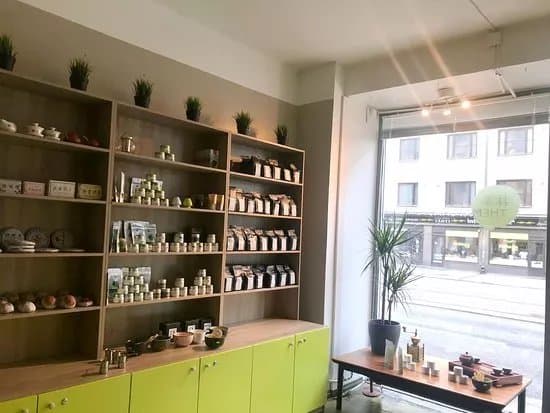 The Matcha Store