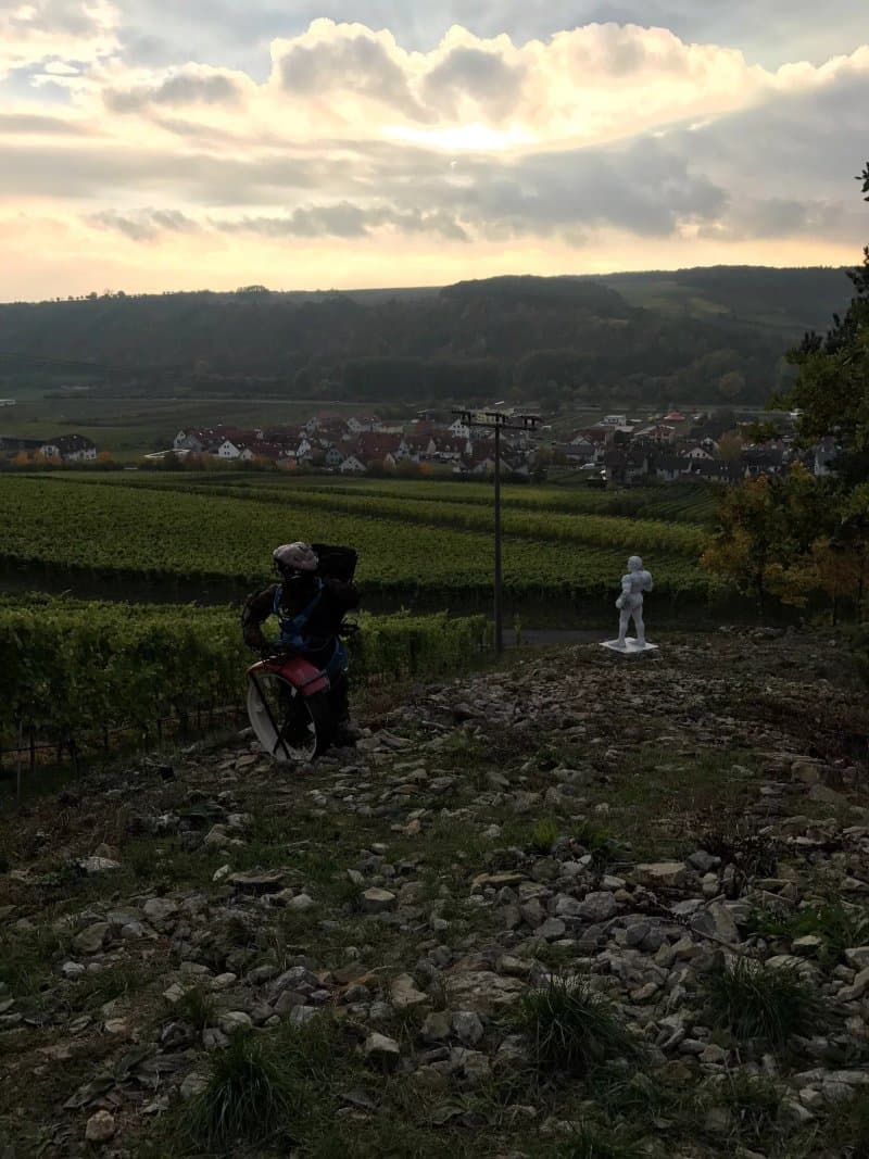 Terroir f Sommerhausen