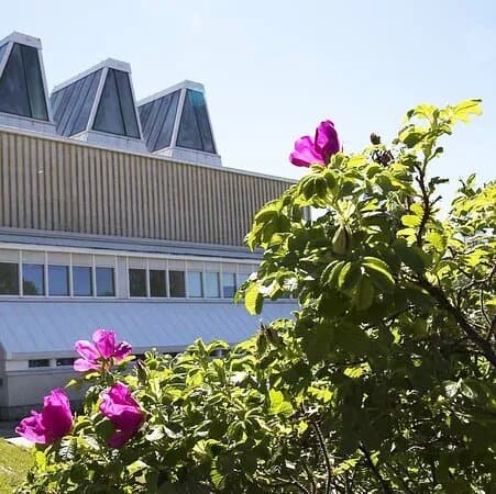 Aine Art Museum