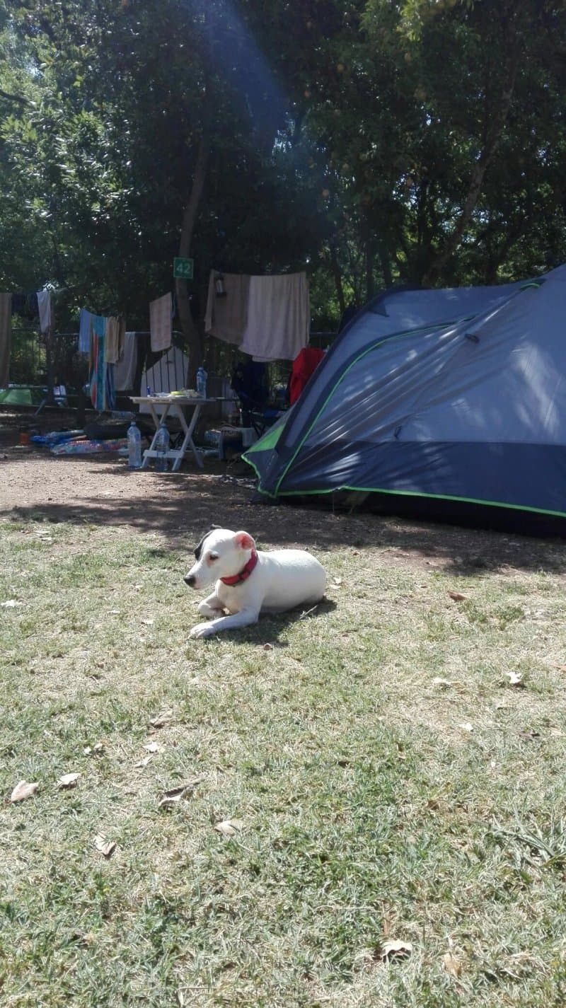 Auto Camp Maslina