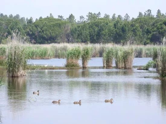 Espaco Interpretativo da Lagoa Pequena