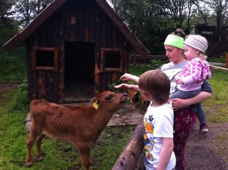 Slakki Petting Zoo