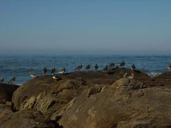 Praia da Madalena