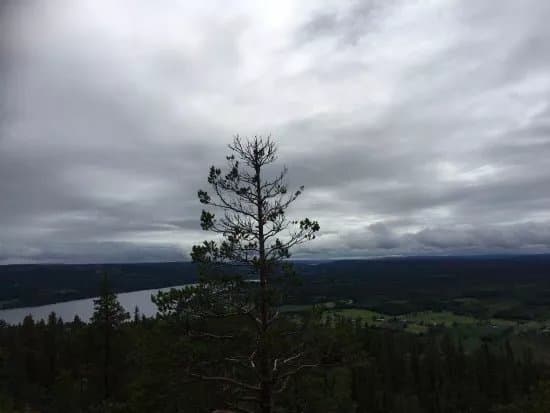 Hoverberget
