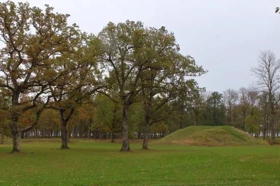 Borrehaugene