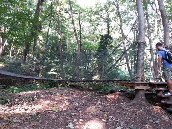 Parco Spina verde
