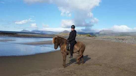Lysuholl - Horses And Holidays