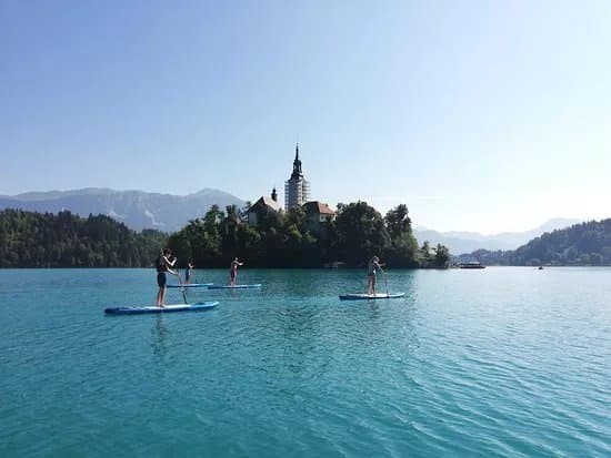 Let's Paddle