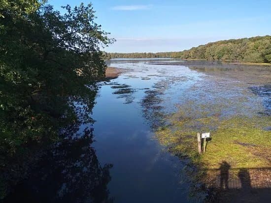 Thulsfelder Stausee