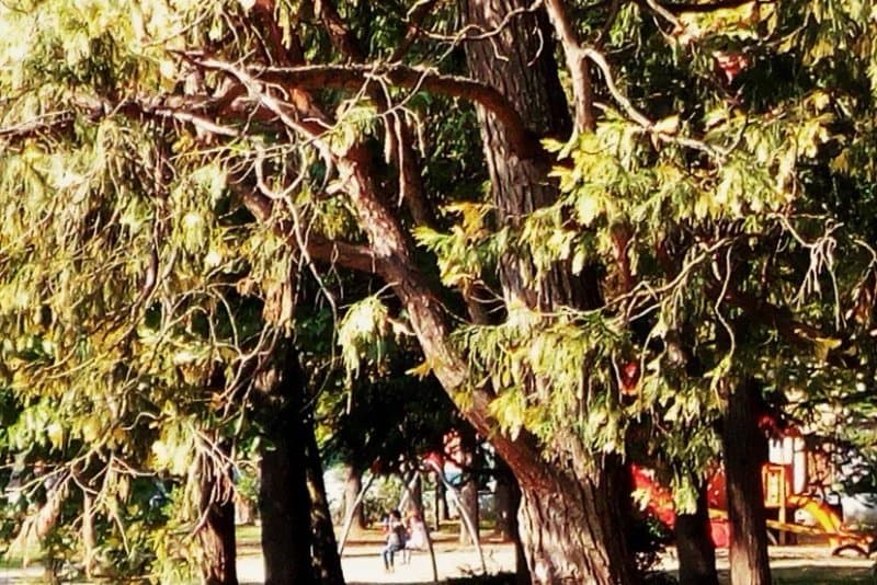 Giardini Pubblici