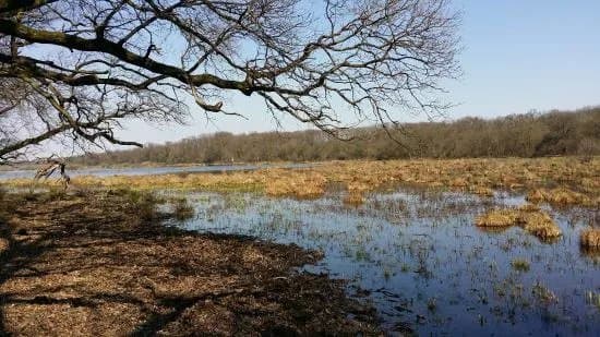 Regional Park Gornje Podunavlje