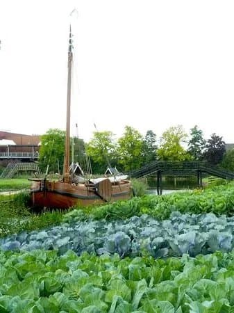 Museum BroekerVeiling