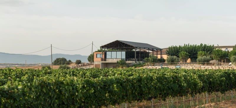 Celler Vinya Els Vilars