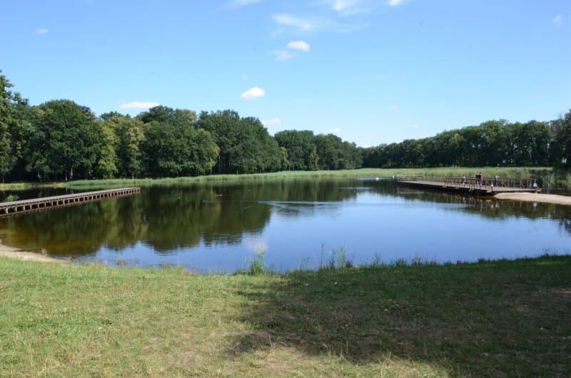 Staw Kalusznik