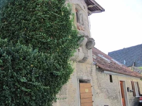 Turm Johanni