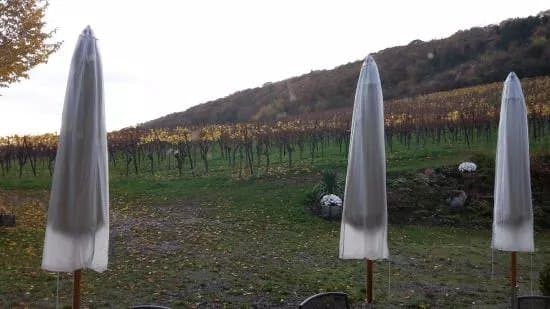 Weingut Stefan & Nicole Hitziger