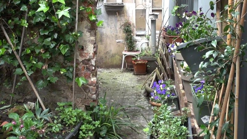 Secret Garden