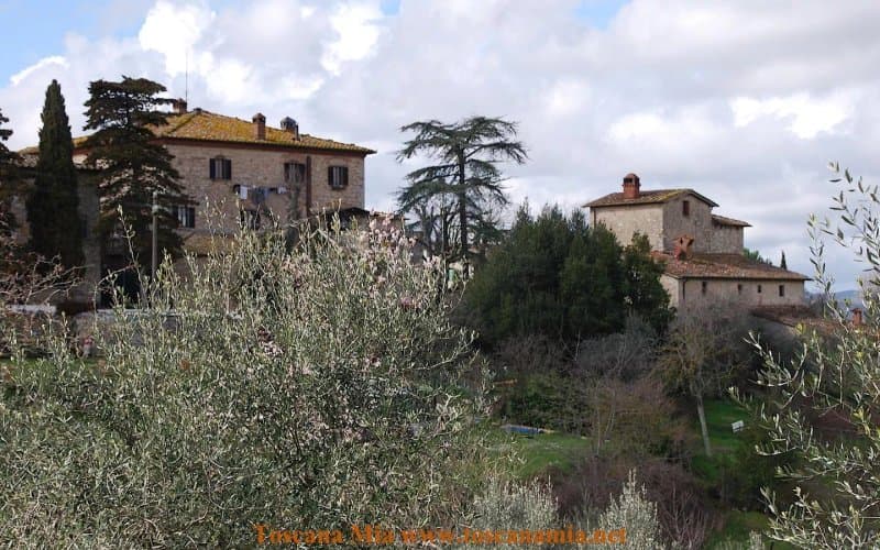 Toscana Mia Cooking Classes in Tuscany