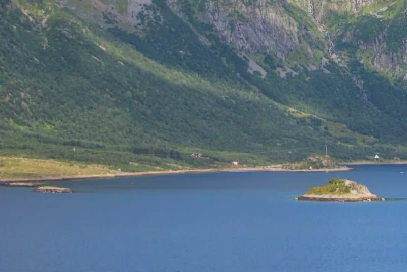 Sildpollneset