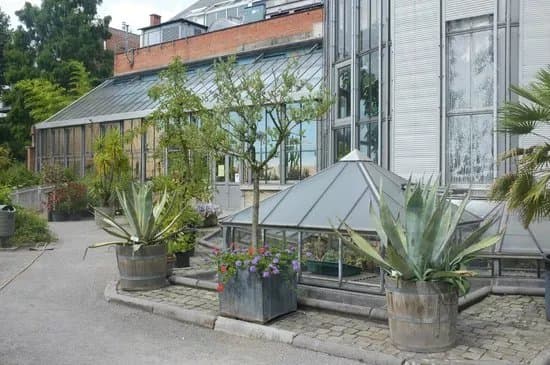 Plantentuin