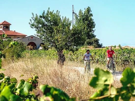 Penedes Ecotours