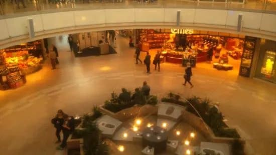 Rotmain Center