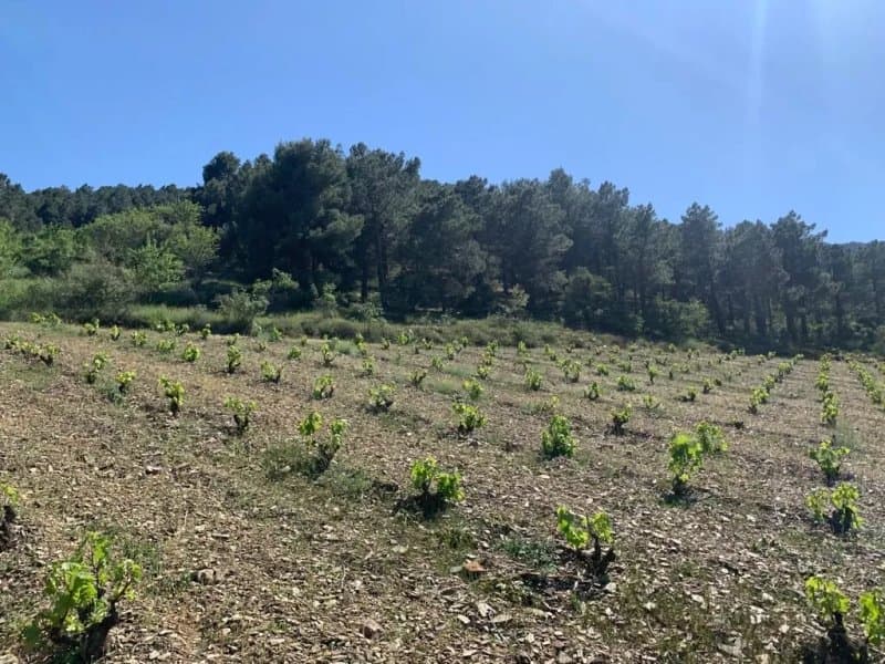 Bodega Libre Y Salvaje