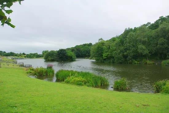 Central Forest Park