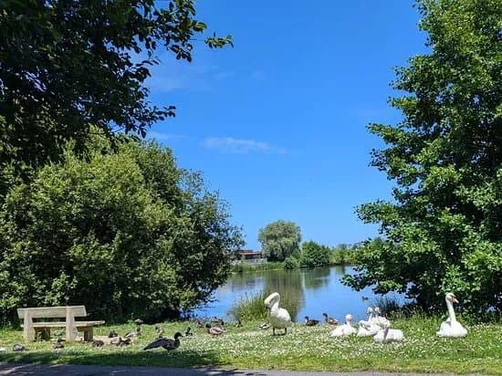 Le Parc Naturel du Marais