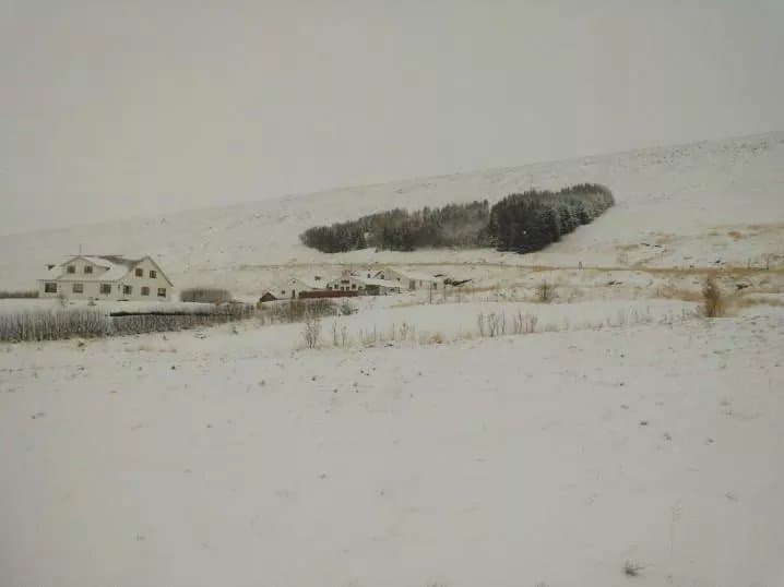 Ondolfsstadir Farm Bed & Breakfast
