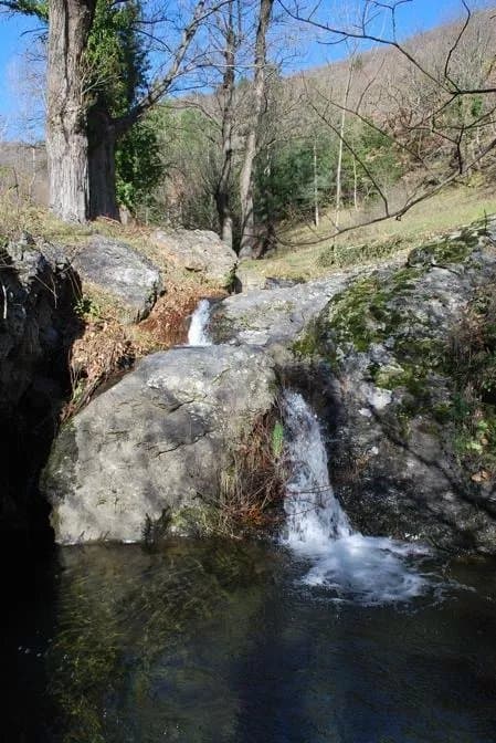 La Voix du Ruisseau
