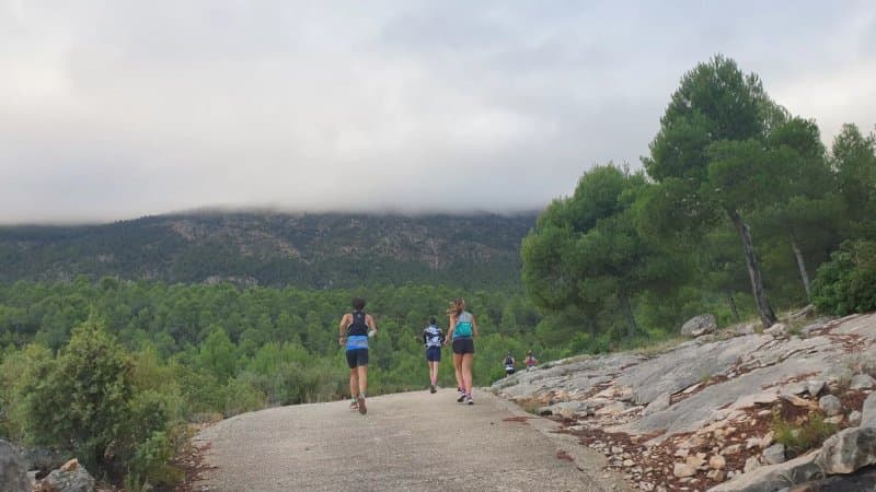 Yeti Trail