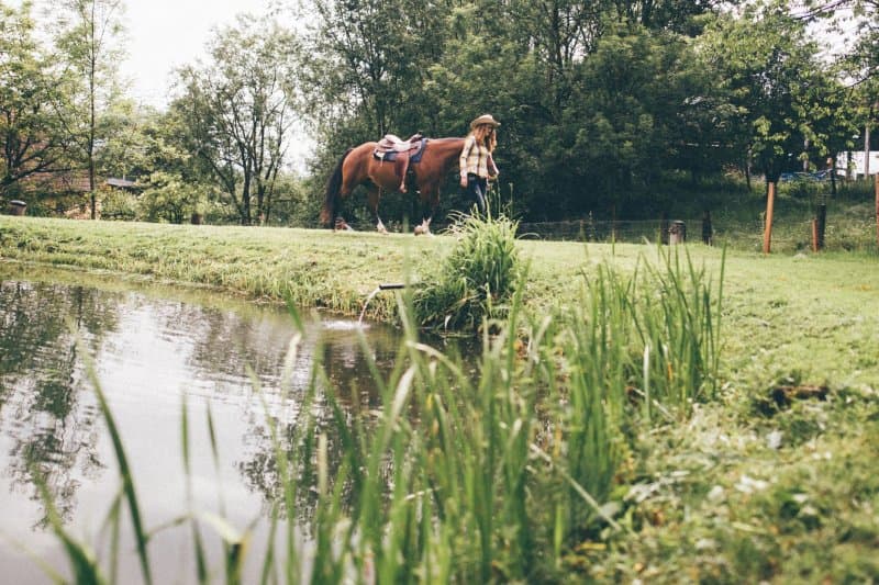 Ferienranch Wernhof