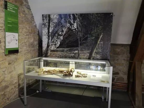 Musee Archeologique de la Haute-Meuse