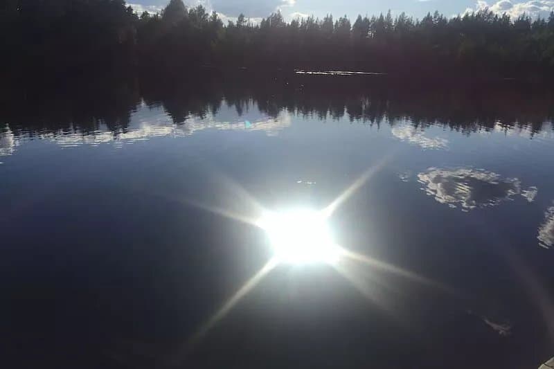 Comfortable holiday home with sauna in an idyllic forest location near a