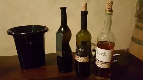 Vino Zorz