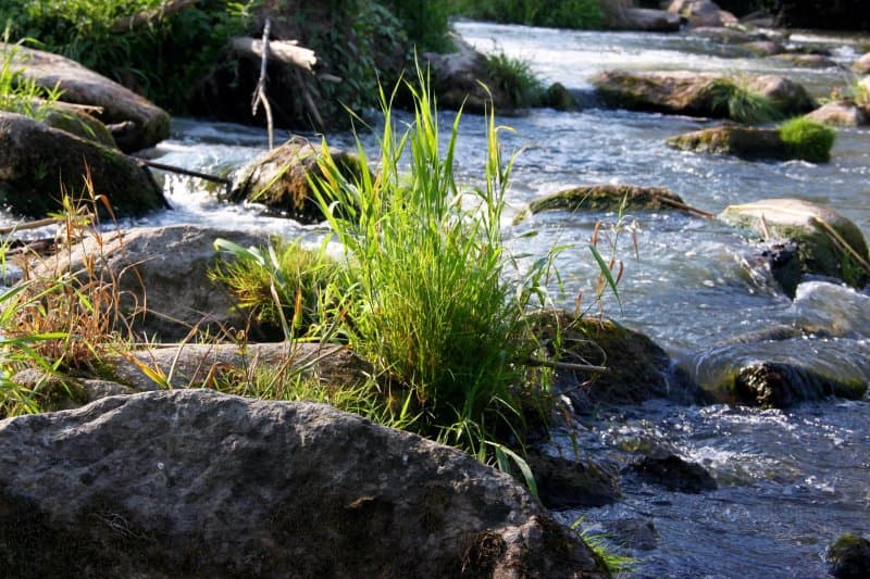 Naturschutzgebiet Vilsengtal mit Taferlsee und Lebendige Vils